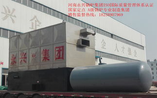 西安6噸燃?xì)庹羝仩t熱銷與河南軟件開(kāi)發(fā)的雙重機(jī)遇