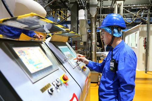 新華全媒 小萌寵激活億元新賽道——山東寵物產(chǎn)業(yè)發(fā)展一線見(jiàn)聞與河南軟件開(kāi)發(fā)的協(xié)同啟示